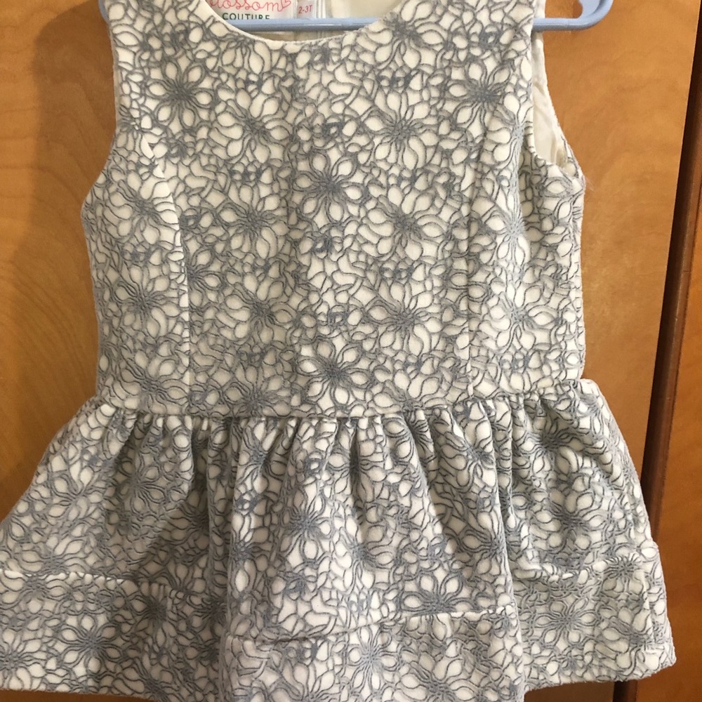 Toddler girls tunic/dress: Blossom Couture 2/3